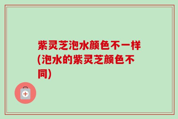 紫灵芝泡水颜色不一样(泡水的紫灵芝颜色不同)