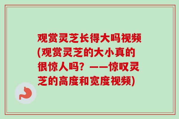 观赏灵芝长得大吗视频(观赏灵芝的大小真的很惊人吗？——惊叹灵芝的高度和宽度视频)