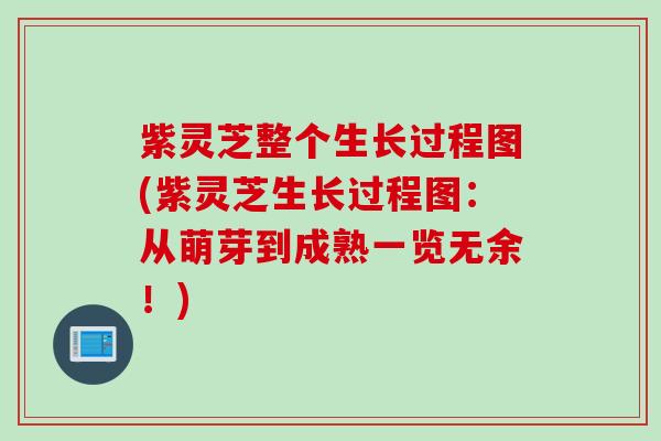 紫灵芝整个生长过程图(紫灵芝生长过程图：从萌芽到成熟一览无余！)
