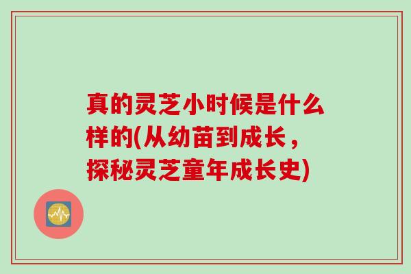真的灵芝小时候是什么样的(从幼苗到成长，探秘灵芝童年成长史)