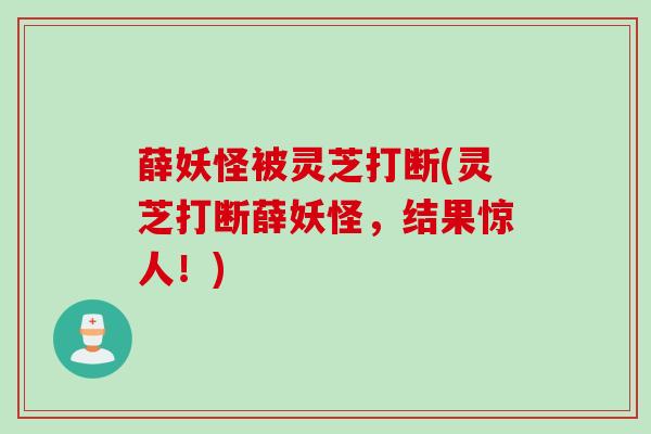 薛妖怪被灵芝打断(灵芝打断薛妖怪,结果惊人!) 薛妖怪被灵芝打断(灵芝打断薛妖怪,结果惊人!)