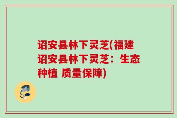 诏安县林下灵芝(福建诏安县林下灵芝：生态种植 质量保障)