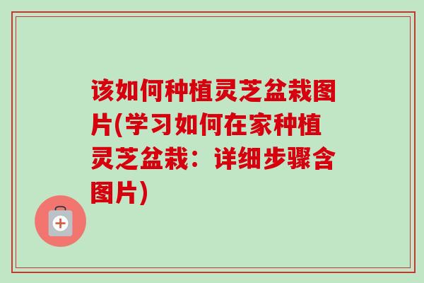 该如何种植灵芝盆栽图片(学习如何在家种植灵芝盆栽：详细步骤含图片)