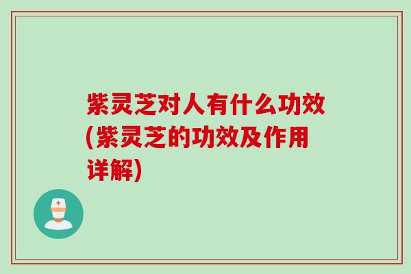 紫灵芝对人有什么功效(紫灵芝的功效及作用详解)