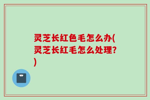 灵芝长红色毛怎么办(灵芝长红毛怎么处理？)