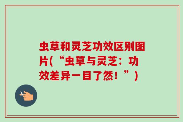 虫草和灵芝功效区别图片(“虫草与灵芝:功效差异一目了然!”) 虫草和灵芝功效区别图片(“虫草与灵芝:功效差异一目了然!”)