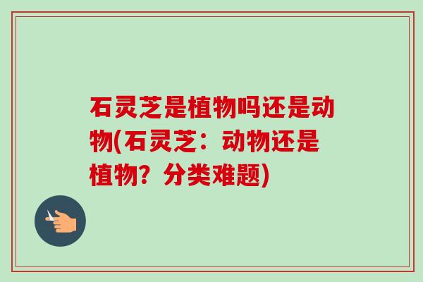石灵芝是植物吗还是动物(石灵芝:动物还是植物?分类难题) 石灵芝是植物吗还是动物(石灵芝:动物还是植物?分类难题)