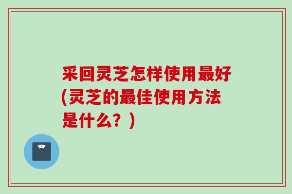 采回灵芝怎样使用好(灵芝的佳使用方法是什么?) 采回灵芝怎样使用好(灵芝的佳使用方法是什么?)