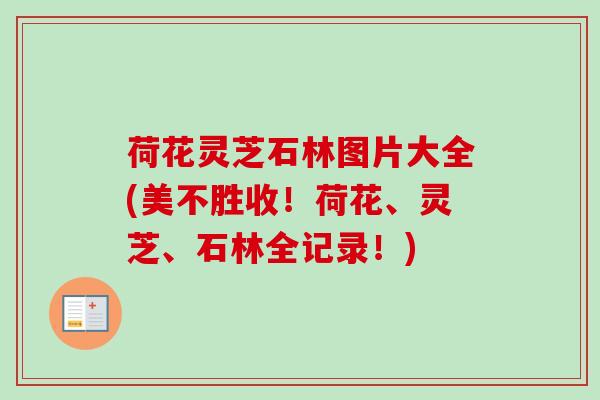 荷花灵芝石林图片大全(美不胜收!荷花、灵芝、石林全记录!) 荷花灵芝石林图片大全(美不胜收!荷花、灵芝、石林全记录!)
