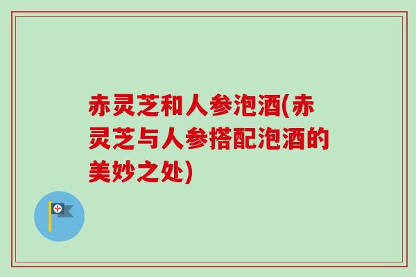 赤灵芝和人参泡酒(赤灵芝与人参搭配泡酒的美妙之处)