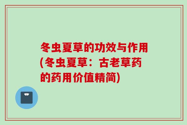 冬虫夏草的功效与作用(冬虫夏草：古老草药的药用价值精简)
