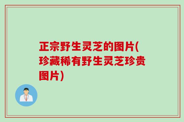 正宗野生灵芝的图片(珍藏稀有野生灵芝珍贵图片)