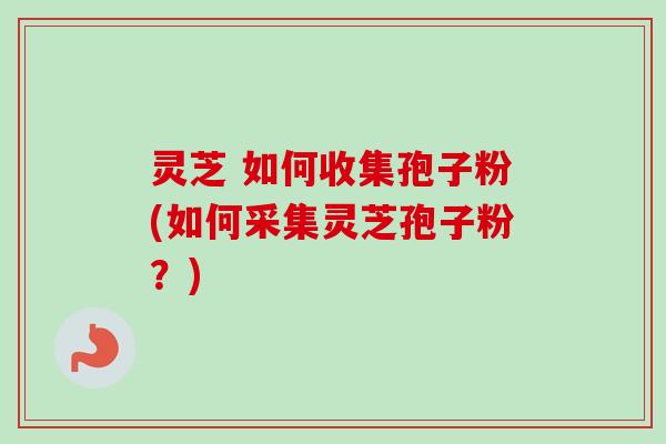 灵芝 如何收集孢子粉(如何采集灵芝孢子粉?) 灵芝 如何收集孢子粉(如何采集灵芝孢子粉?)