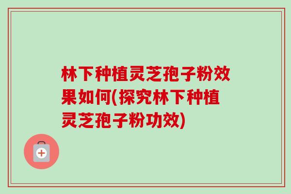 林下种植灵芝孢子粉效果如何(探究林下种植灵芝孢子粉功效)