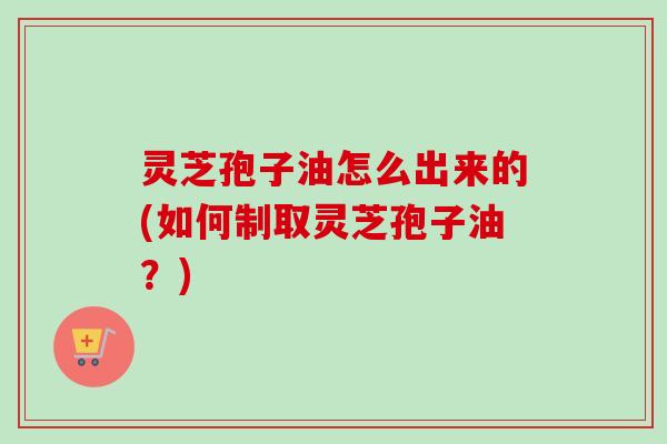 灵芝孢子油怎么出来的(如何制取灵芝孢子油？)
