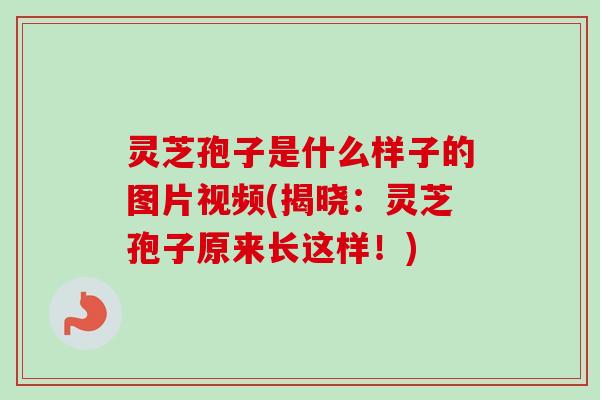 灵芝孢子是什么样子的图片视频(揭晓：灵芝孢子原来长这样！)