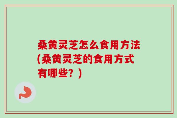桑黄灵芝怎么食用方法(桑黄灵芝的食用方式有哪些？)