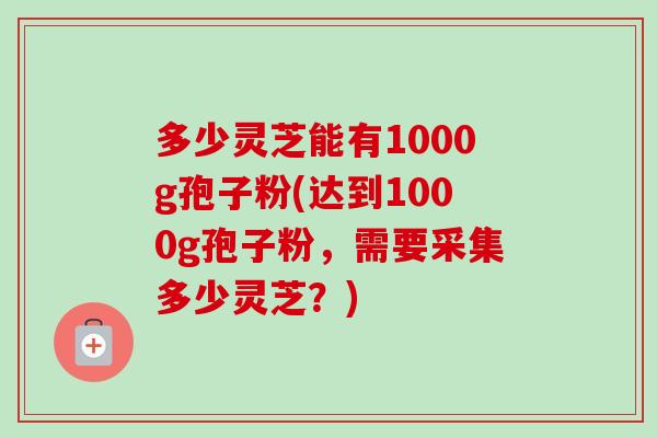 多少灵芝能有1000g孢子粉(达到1000g孢子粉，需要采集多少灵芝？)
