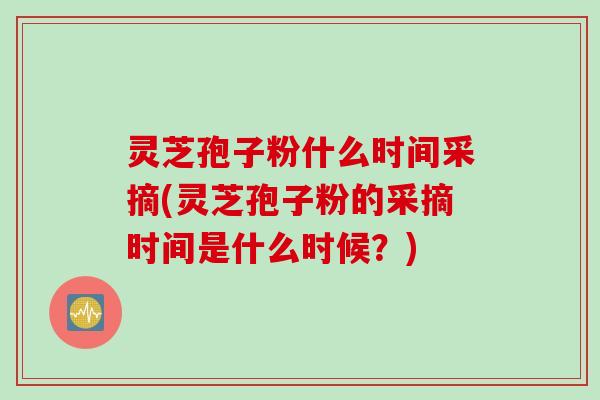 灵芝孢子粉什么时间采摘(灵芝孢子粉的采摘时间是什么时候？)