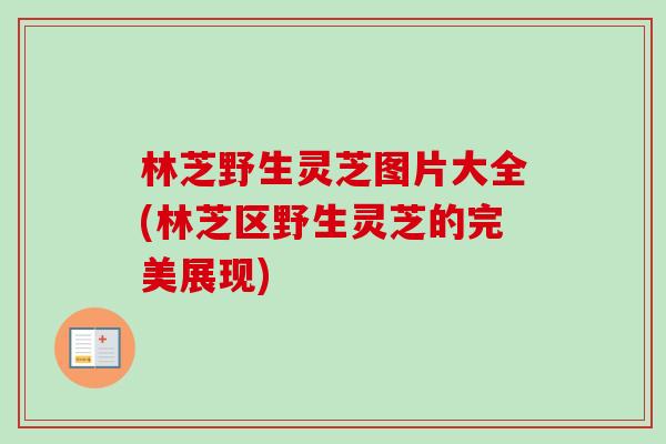 林芝野生灵芝图片大全(林芝区野生灵芝的完美展现)