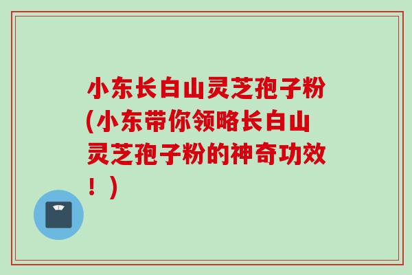 小东长白山灵芝孢子粉(小东带你领略长白山灵芝孢子粉的神奇功效！)