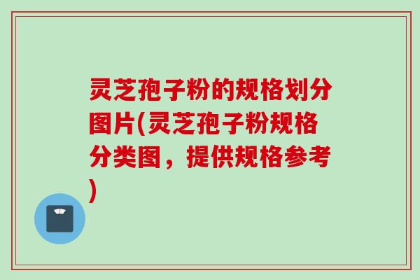 灵芝孢子粉的规格划分图片(灵芝孢子粉规格分类图，提供规格参考)