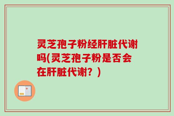 灵芝孢子粉经肝脏代谢吗(灵芝孢子粉是否会在肝脏代谢？)