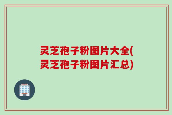 灵芝孢子粉图片大全(灵芝孢子粉图片汇总) 灵芝孢子粉图片大全(灵芝孢子粉图片汇总)