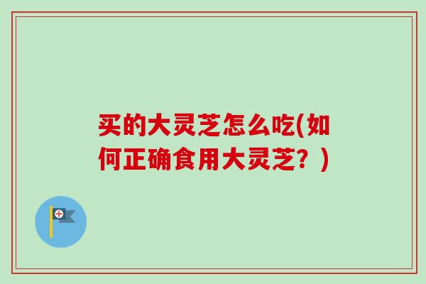 买的大灵芝怎么吃(如何正确食用大灵芝？)