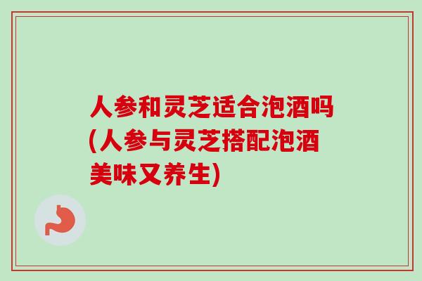 人参和灵芝适合泡酒吗(人参与灵芝搭配泡酒美味又养生)