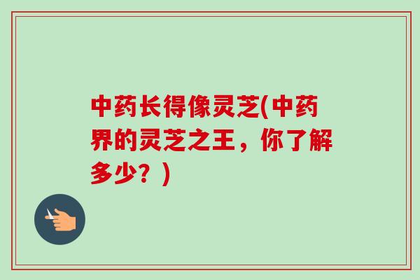 中药长得像灵芝(中药界的灵芝之王，你了解多少？)