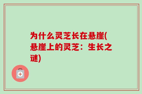 为什么灵芝长在悬崖(悬崖上的灵芝：生长之谜)