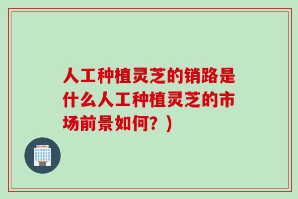 人工种植灵芝的销路是什么人工种植灵芝的市场前景如何?) 人工种植灵芝的销路是什么人工种植灵芝的市场前景如何?)