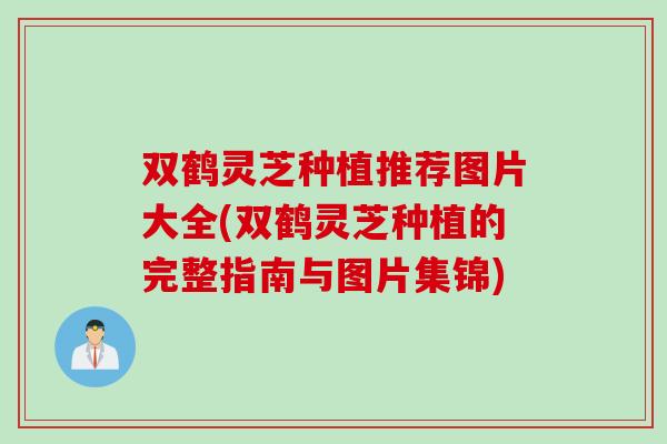 双鹤灵芝种植推荐图片大全(双鹤灵芝种植的完整指南与图片集锦)