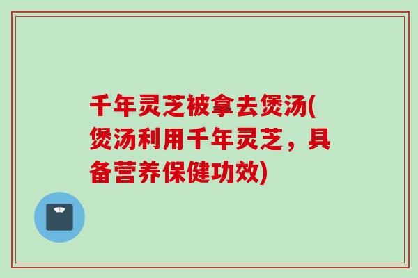 千年灵芝被拿去煲汤(煲汤利用千年灵芝,具备营养保健功效) 千年灵芝被拿去煲汤(煲汤利用千年灵芝,具备营养保健功效)
