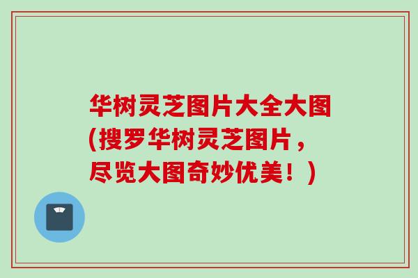 华树灵芝图片大全大图(搜罗华树灵芝图片，尽览大图奇妙优美！)