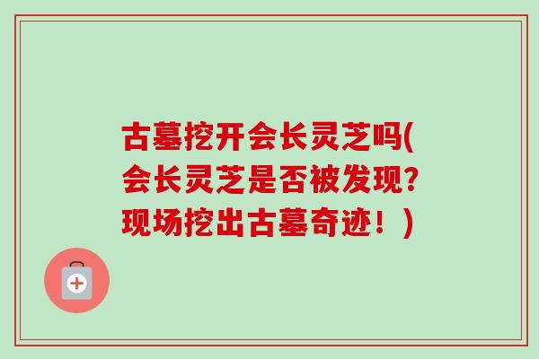 古墓挖开会长灵芝吗(会长灵芝是否被发现？现场挖出古墓奇迹！)