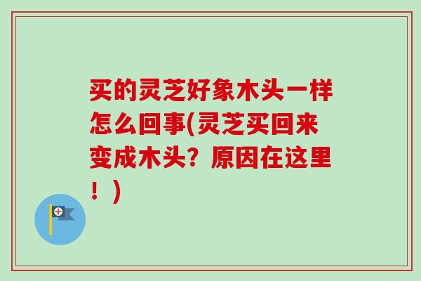 买的灵芝好象木头一样怎么回事(灵芝买回来变成木头?原因在这里!) 买的灵芝好象木头一样怎么回事(灵芝买回来变成木头?原因在这里!)