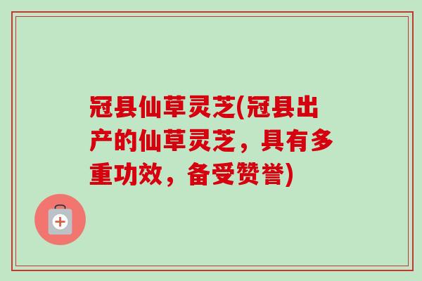 冠县仙草灵芝(冠县出产的仙草灵芝，具有多重功效，备受赞誉)