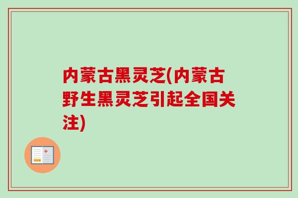 内蒙古黑灵芝(内蒙古野生黑灵芝引起全国关注)