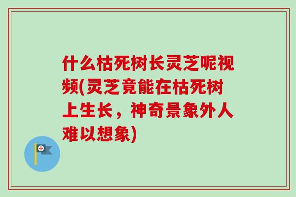 什么枯死树长灵芝呢视频(灵芝竟能在枯死树上生长,神奇景象外人难以想象) 什么枯死树长灵芝呢视频(灵芝竟能在枯死树上生长,神奇景象外人难以想象)