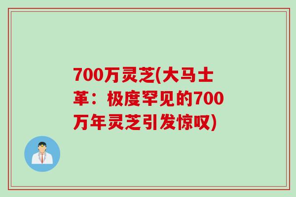 700万灵芝(大马士革:极度罕见的700万年灵芝引发惊叹) 700万灵芝(大马士革:极度罕见的700万年灵芝引发惊叹)