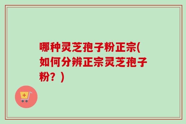 哪种灵芝孢子粉正宗(如何分辨正宗灵芝孢子粉?) 哪种灵芝孢子粉正宗(如何分辨正宗灵芝孢子粉?)