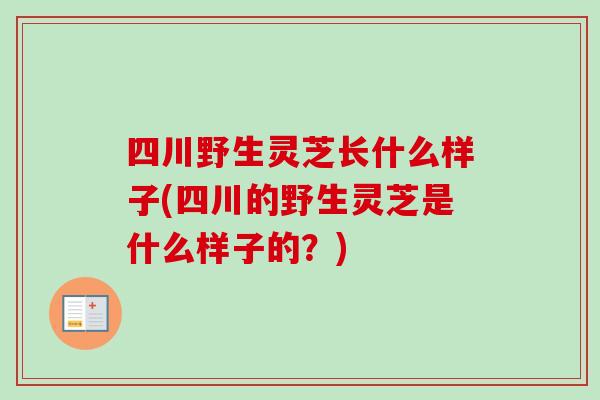四川野生灵芝长什么样子(四川的野生灵芝是什么样子的？)