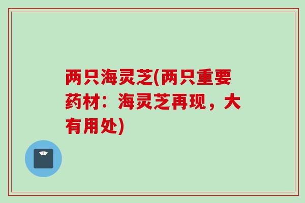 两只海灵芝(两只重要药材：海灵芝再现，大有用处)