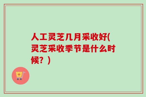 人工灵芝几月采收好(灵芝采收季节是什么时候？)