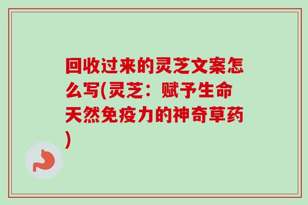 回收过来的灵芝文案怎么写(灵芝：赋予生命天然免疫力的神奇草药)