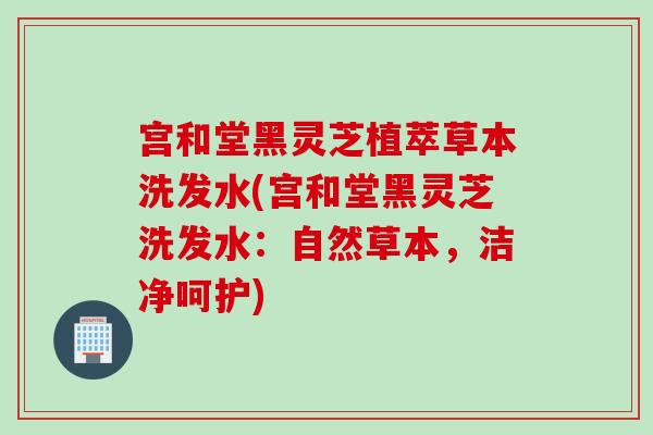 宫和堂黑灵芝植萃草本洗发水(宫和堂黑灵芝洗发水:自然草本,洁净呵护) 宫和堂黑灵芝植萃草本洗发水(宫和堂黑灵芝洗发水:自然草本,洁净呵护)