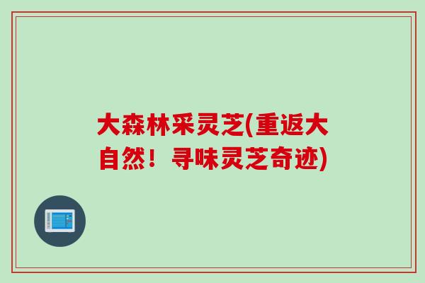 大森林采灵芝(重返大自然!寻味灵芝奇迹) 大森林采灵芝(重返大自然!寻味灵芝奇迹)