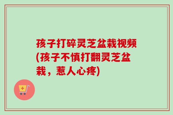 孩子打碎灵芝盆栽视频(孩子不慎打翻灵芝盆栽，惹人心疼)